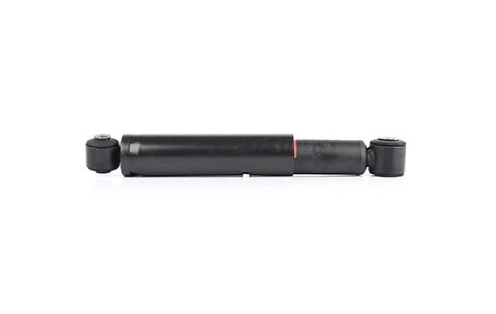 Shock absorber BSG 60-300-010, Image 2