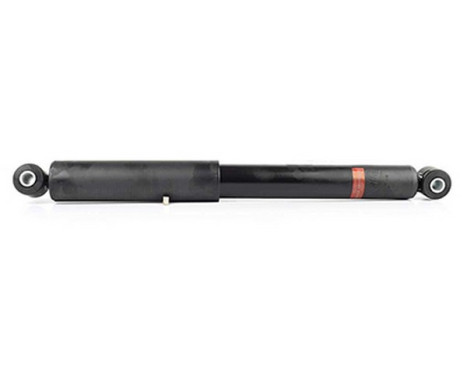 Shock absorber BSG 60-300-018