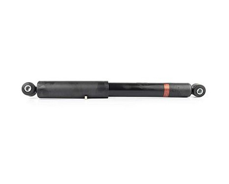 Shock absorber BSG 60-300-018, Image 2