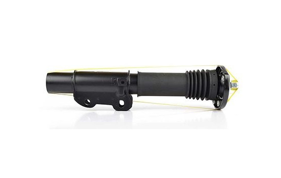Shock absorber BSG 60-300-020, Image 2