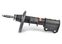 Shock absorber BSG 60-300-050