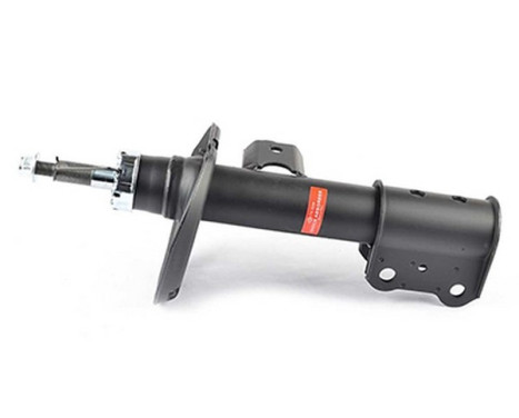 Shock absorber BSG 60-300-051