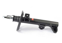 Shock absorber BSG 60-300-052