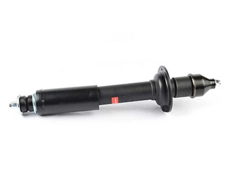 Shock absorber BSG 60-300-053