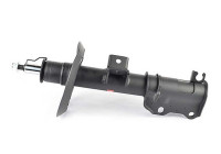 Shock absorber BSG 60-300-056