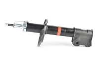 Shock absorber BSG 65-300-006