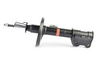 Shock absorber BSG 65-300-010