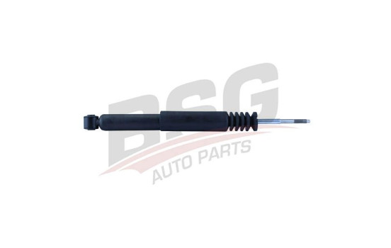 Shock absorber BSG 65-300-012, Image 2