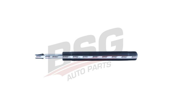 Shock absorber BSG 65-300-018, Image 2