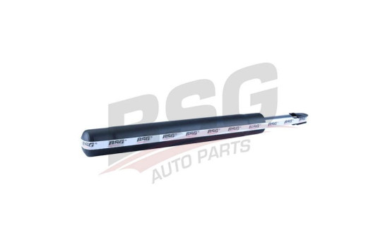 Shock absorber BSG 65-300-018, Image 4