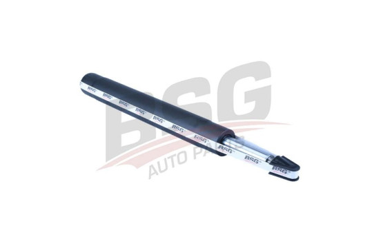 Shock absorber BSG 65-300-018, Image 5