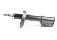 Shock absorber BSG 65-300-025