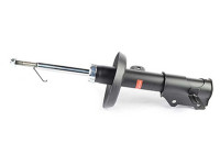 Shock absorber BSG 65-300-029