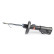 Shock absorber BSG 65-300-029