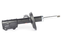 Shock absorber BSG 65-300-034