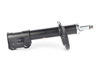 Shock absorber BSG 65-300-039