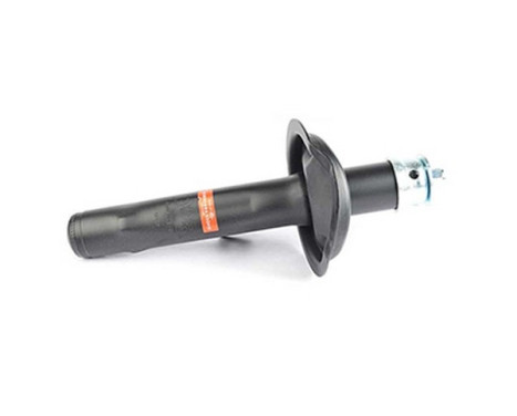 Shock absorber BSG 70-300-004