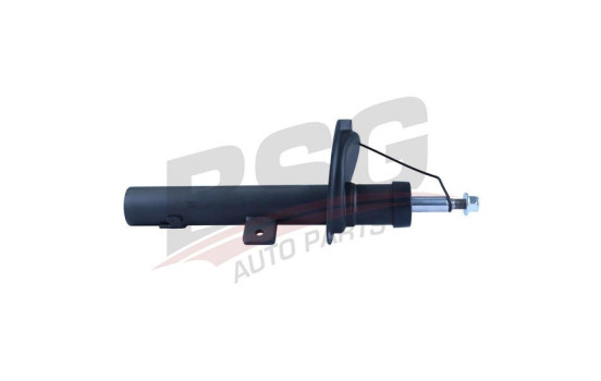 Shock absorber BSG 70-300-004, Image 2