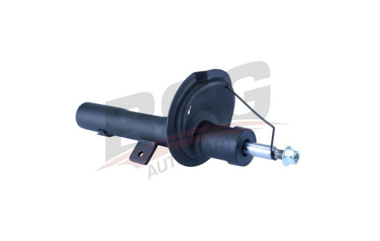 Shock absorber BSG 70-300-004, Image 3