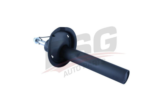 Shock absorber BSG 70-300-004, Image 4