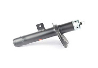 Shock absorber BSG 70-300-005