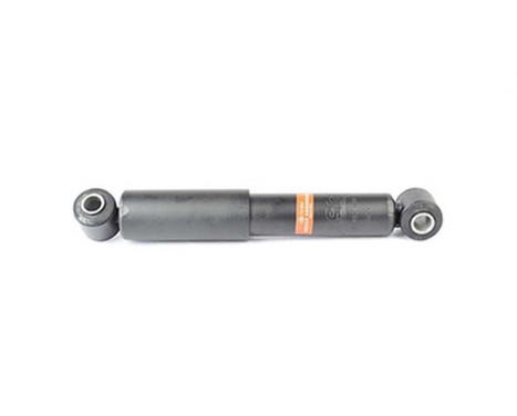 Shock absorber BSG 70-300-008