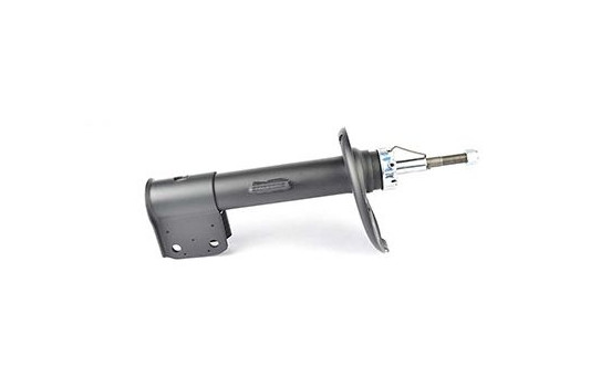 Shock absorber BSG 70-300-011, Image 2