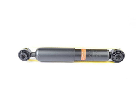 Shock absorber BSG 70-300-012