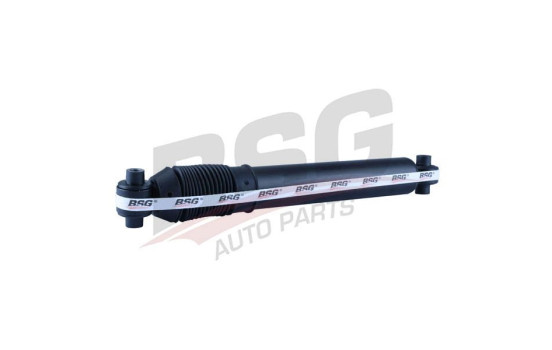 Shock absorber BSG 70-300-013, Image 5