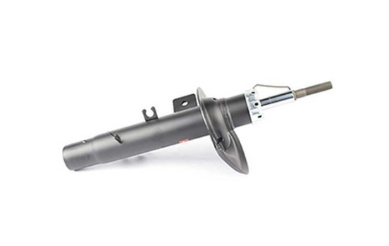 Shock absorber BSG 70-300-015