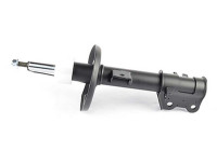 Shock absorber BSG 70-300-016