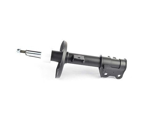 Shock absorber BSG 70-300-016, Image 2