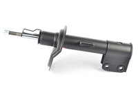Shock absorber BSG 70-300-019
