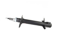 Shock absorber BSG 70-300-022