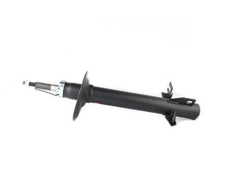 Shock absorber BSG 70-300-022