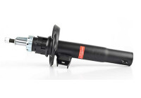 Shock absorber BSG 90-300-017