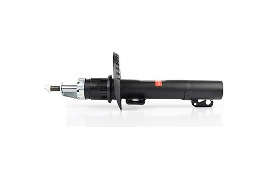 Shock absorber BSG 90-300-021, Image 2