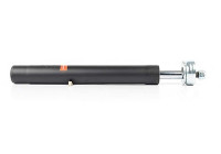 Shock absorber BSG 90-300-025
