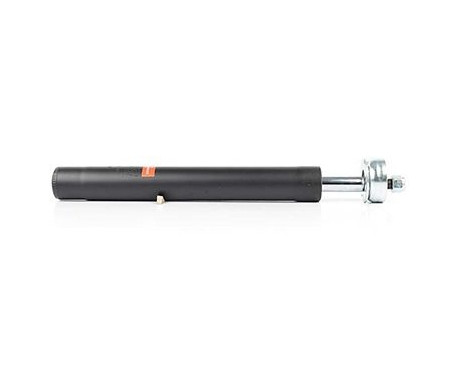 Shock absorber BSG 90-300-025, Image 2