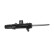 Shock absorber C2524L Monroe, Thumbnail 4