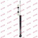 Shock Absorber Excel-G 343827 Kayaba