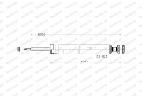 Shock absorber G1461 Monroe