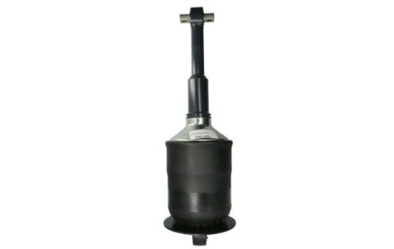 Shock absorber M0165 Magnum Technology