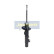 Shock absorber MM-00123 Japanparts, Thumbnail 2