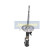 Shock absorber MM-00320 Japanparts
