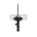 Shock Absorber MM-00433 Japanparts, Thumbnail 6