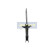 Shock Absorber MM-00767 Japanparts, Thumbnail 4