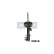 Shock Absorber MM-00818 Japanparts, Thumbnail 2
