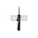 Shock absorber MM-00891 Japanparts
