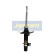 Shock Absorber MM-00895 Japanparts